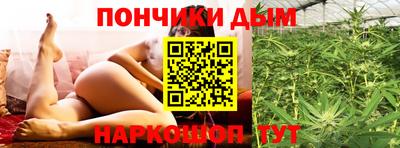 мяу мяу мука Гай